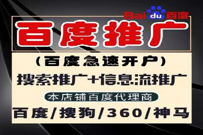 SEM服务在本地化营销中的应用案例